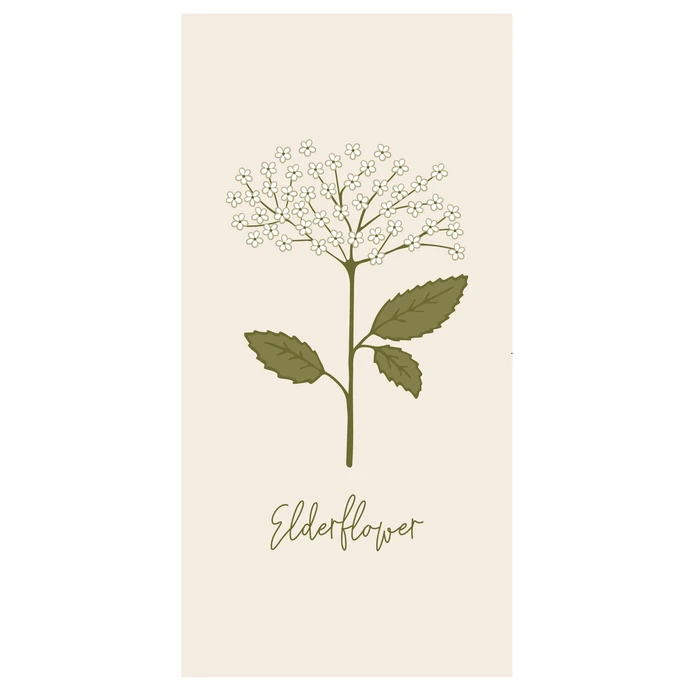 IB LAURSEN / Papírové ubrousky Elderflower – 16 ks