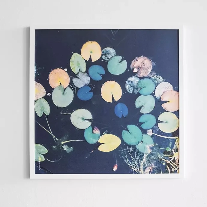 Fine Little Day / Plakát Water lilies 50x50 cm