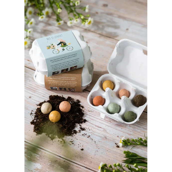 Dárková sada semínek divokých květin Egg Box Easter Rabbit – 6 ks