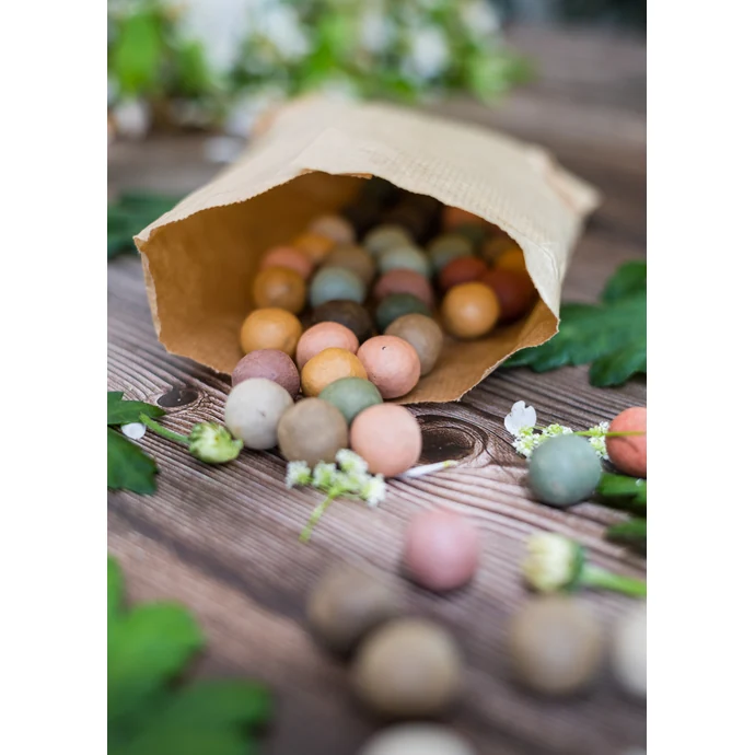 Dárková sada semínek divokých květin Egg Box Easter Chick – 6 ks