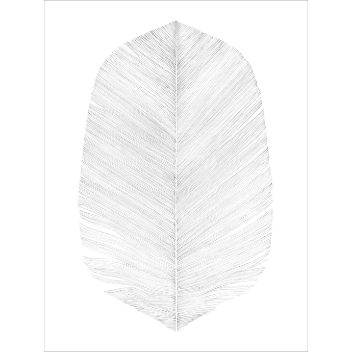 Magdalena Tyboni DESIGN / Plakát White Feather 30x40 cm