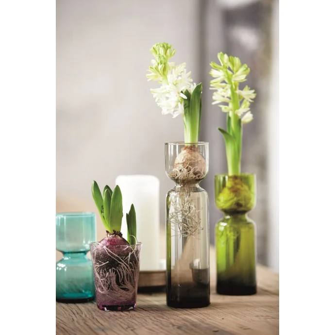 Skleněná váza Hyacinth clear