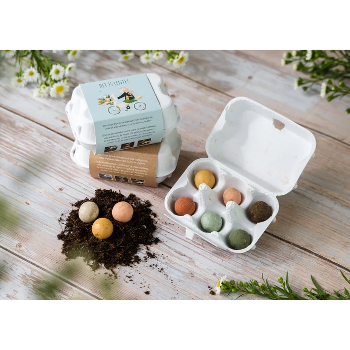 Dárková sada semínek divokých květin Egg Box Easter Chick – 6 ks