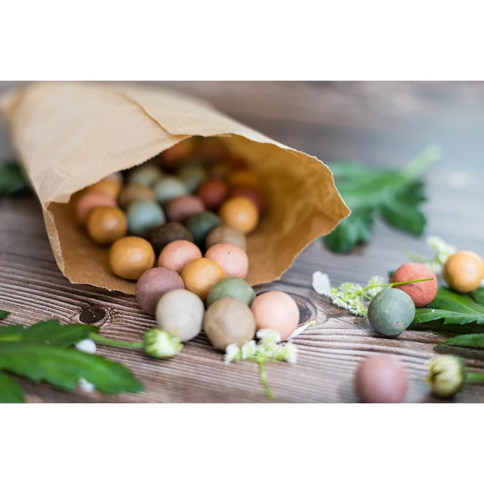 Semínka divokých květin Easter Egg/Happy Easter + pohlednice
