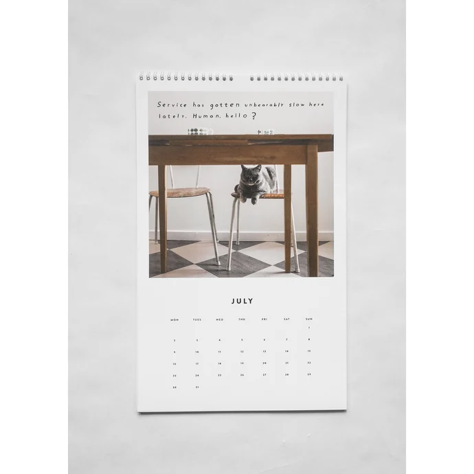 Nástěnný kalendář Cat 2018