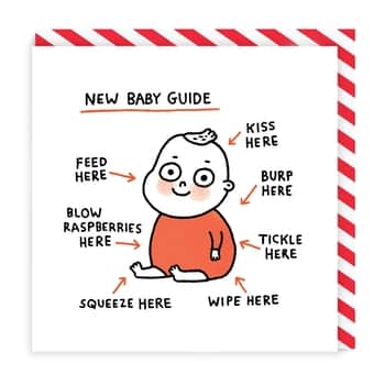 Přání k narození miminka New Baby Guide